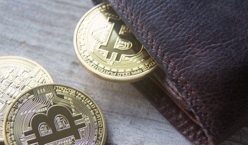 Top Hardware And Software Wallets For Storing Bitcoin In 2020