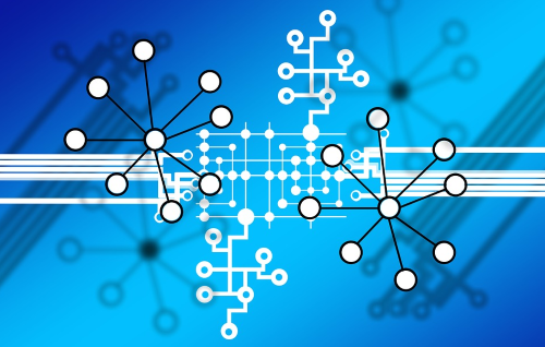 California Giant Berry Farms Joins IBM Food Trust Blockchain Tracking System