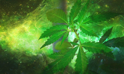 World's First Blockchain-Based App Tracking Cannabis Production Set to Launch This Summer