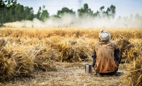 Dubai's Free Zone to Bridge the UAE-India Agriculture Trade Gap with Blockchain