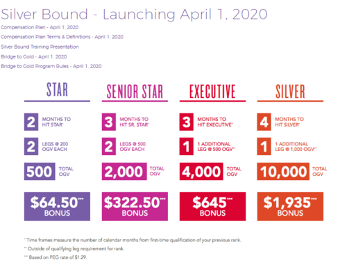 NEW Silver Bound program