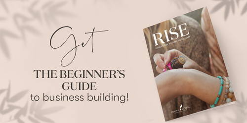 The Beginner's Guide