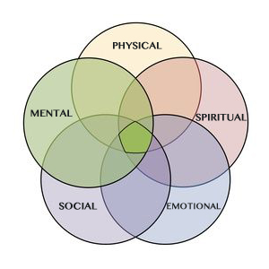 Dorothy M Neddermeyer