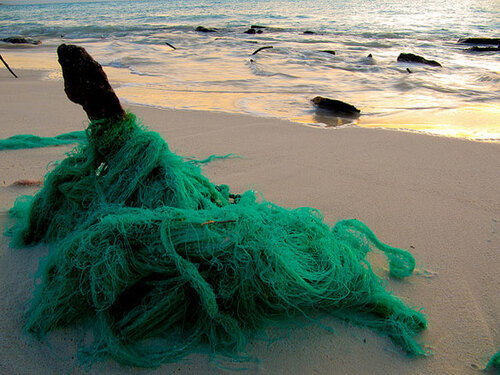 marine debris net