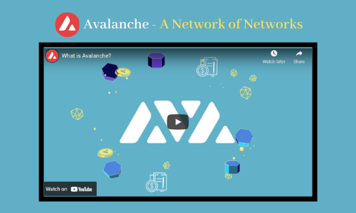 Avalanche - A Network of Networks