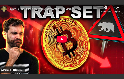 Bear Market Survival Guide: Crypto Tips for 2026