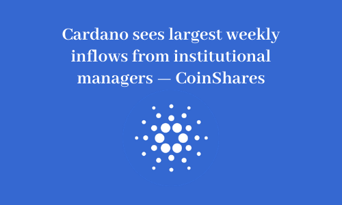 Cardano sees largest weekly inflows from institutional managers