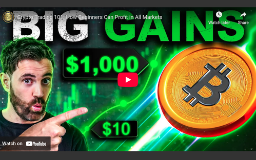 Coin Bureau - Crypto Trading 101: How Beginners Can Profit in All Markets