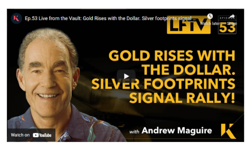 Gold Rises with the Dollar. Silver footprints signal rally!