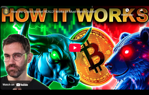 Coin Bureau - How the Crypto Market REALLY Works (A Must-Watch Guide!)