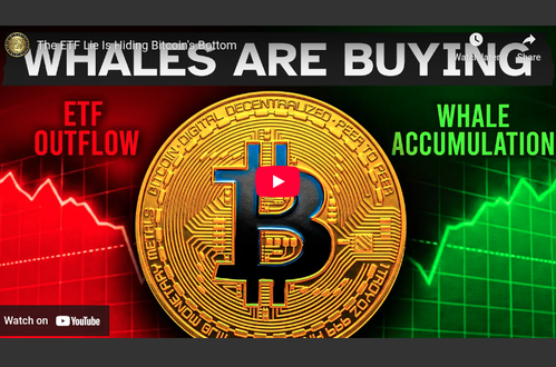 The ETF Lie Is Hiding Bitcoin's Bottom