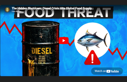 The Hidden Shutdown: Diesel Crisis Hits Global Food Supply