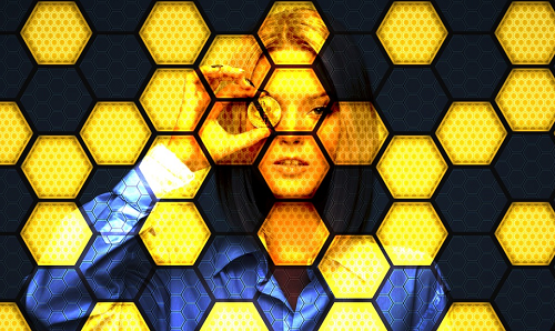 Three Promising Coins To Explore: Parody Coin (PARO), Solana (SOL) And Hedera (HBAR)