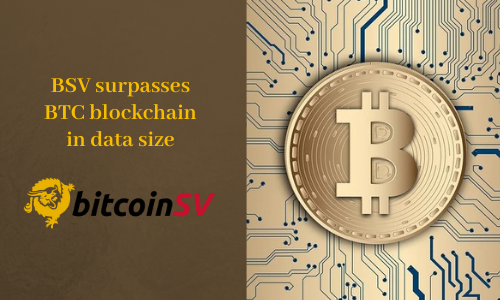 BSV surpasses BTC blockchain in data size