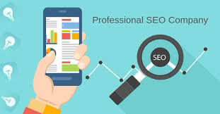 , Importance of Hiring Professional SEO Services, New World SEO