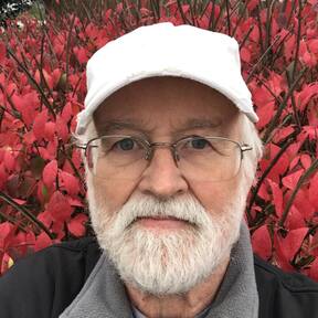Tim Moseley