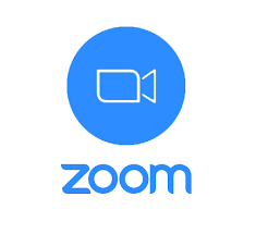 global zoom video meetings